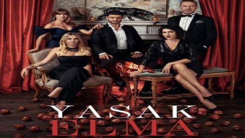 مسلسل التفاح الحرام الموسم 6 الحلقة 13 اون لاين HD