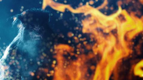 فيلم The Hunting 2021 مترجم اون لاين الصيد