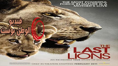 فيلم The Last Lions 2011 مترجم اون لاين الاسود الاخيرة