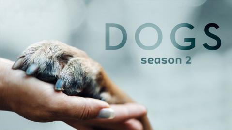 مسلسل Dogs الموسم 2 الحلقة 3 مترجم اون لاين