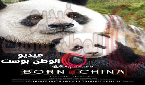 فيلم Born In China 2016 مترجم اون لاين ولد في الصين