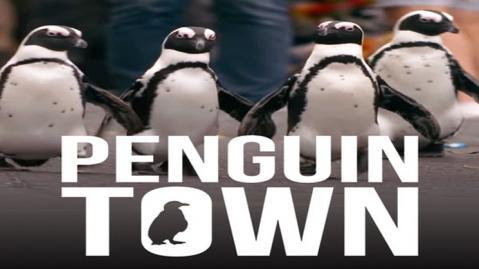 مسلسل Penguin Town الموسم 1 الحلقة 4 مترجم اون لاين
