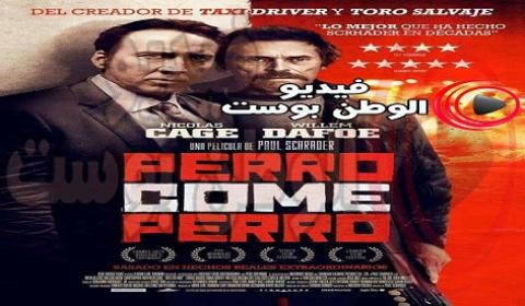 فيلم Dog Eat Dog 2016 مترجم اون لاين الكلب اكل الكلب