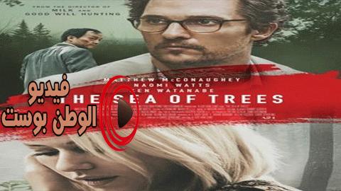 فيلم The Sea of Trees 2015 مترجم اون لاين بحر اﻷشجار
