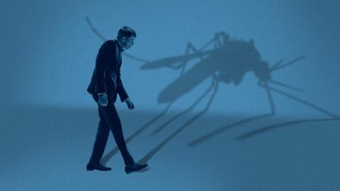 فيلم Mosquito State 2020 مترجم اون لاين دولة البعوض